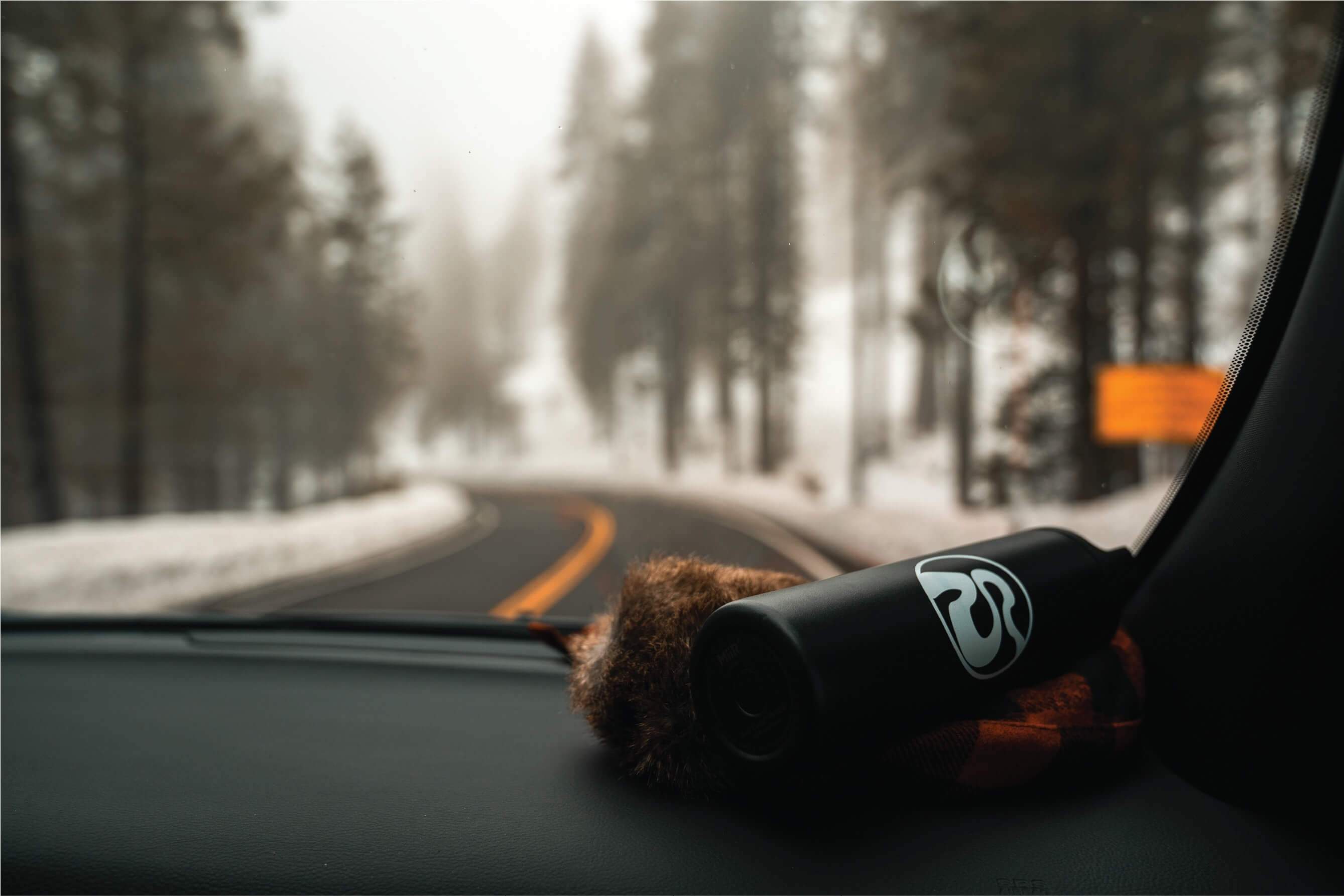 The Best Songs for your next Road Trip